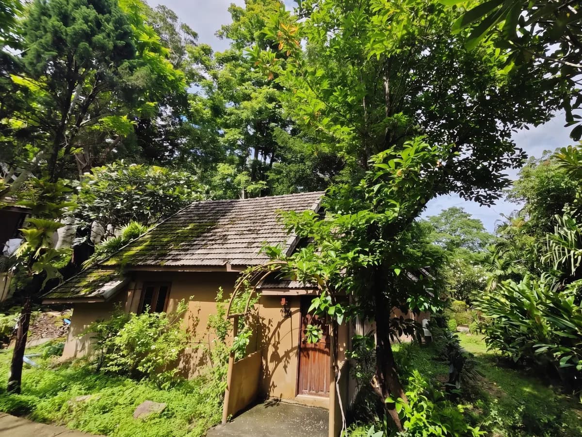 Twin Villa with Garden View — villa exterior among the gardens.